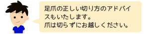 足爪の正しい切り方のアドバイスもいたします。
爪は切らずにお越しください。